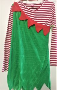 Adult Female Costumes to Hire - Elf - stripe shirt & green Dress